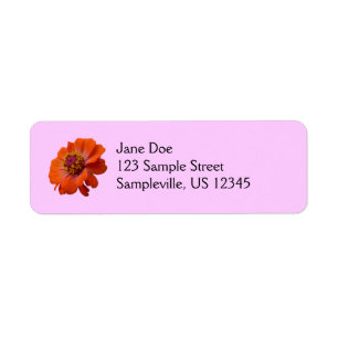 Etiqueta Orange Zinnia Wildflower Nature Floral