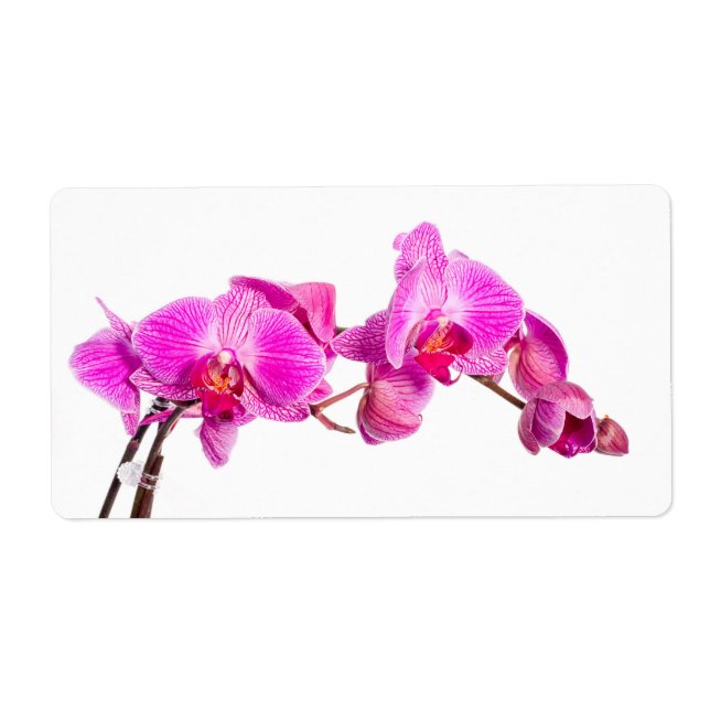 Etiqueta Orquídea (Frente)