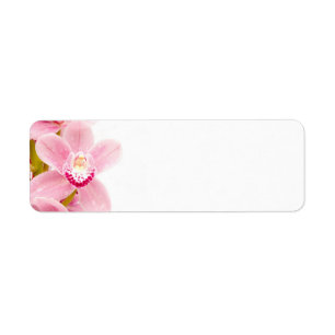 Etiqueta Orquídea cor-de-rosa