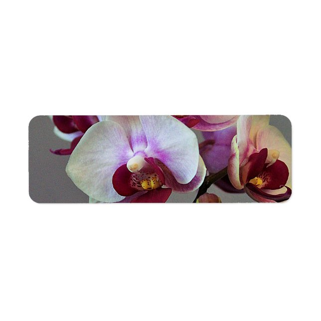 Etiqueta Orquídea diminuta (Frente)