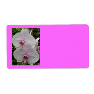 Etiqueta Orquídea - flor cor-de-rosa (2:3 de Colossians)