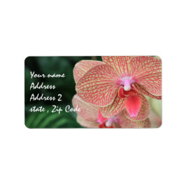 Etiqueta Orquídeas laranja