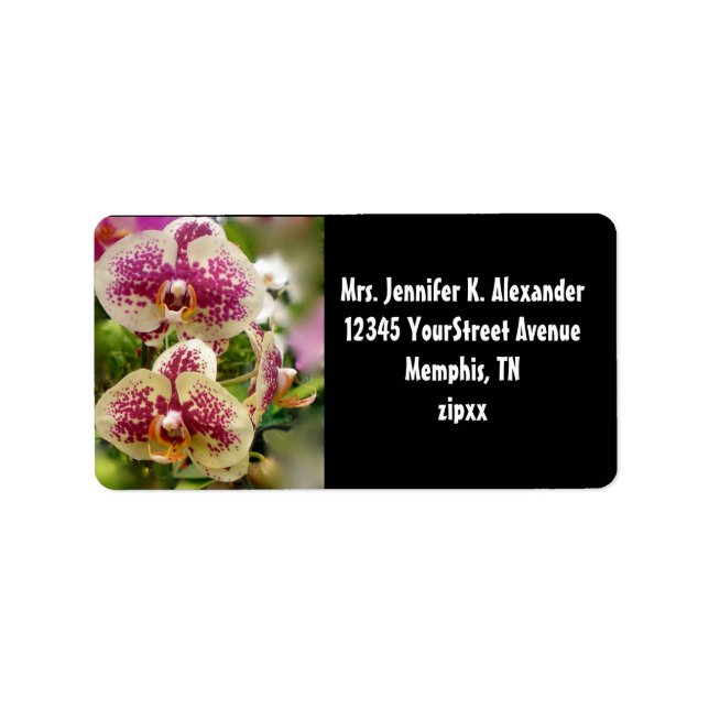 Etiqueta Orquídeas tropicais (Frente)