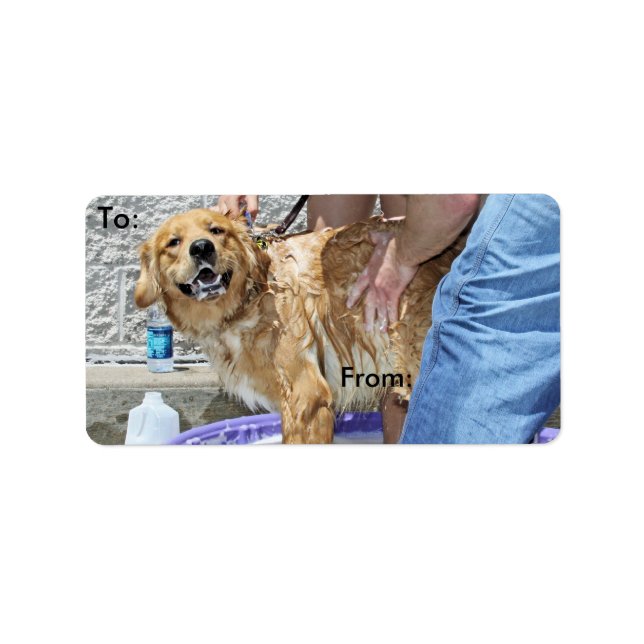 Etiqueta Ouro Retriever - Aquele lugar! (Frente)