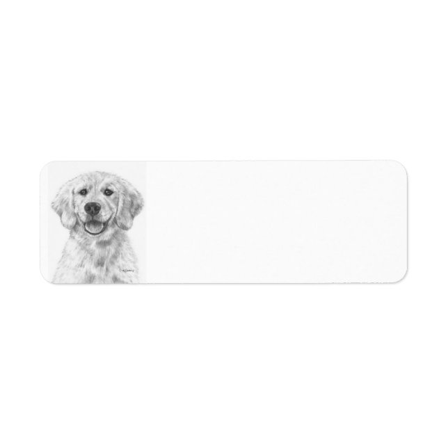 Etiqueta Ouro Retriever Puppy Cody (Frente)