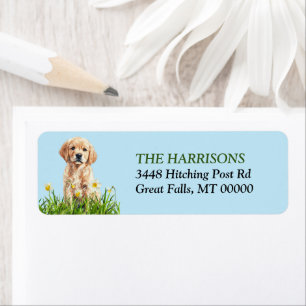 Etiqueta Ouro Retriever Puppy Daffodil Garden