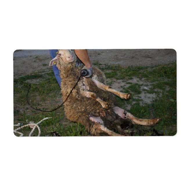 Etiqueta Ouvintes (Frente)