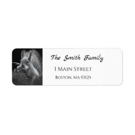 Etiqueta Paddy Cake, Esquilo