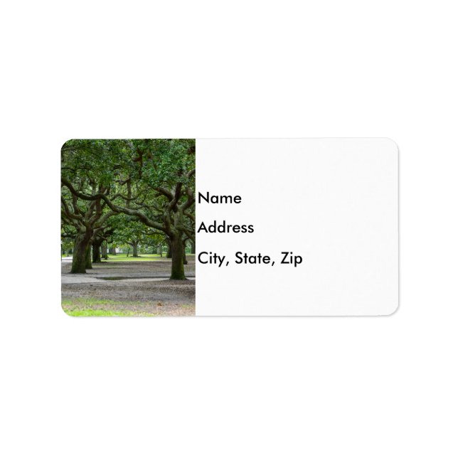 Etiqueta Painterly dos Jardins de White Point (Frente)