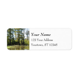 Etiqueta Paisagem do Cypress Swamp
