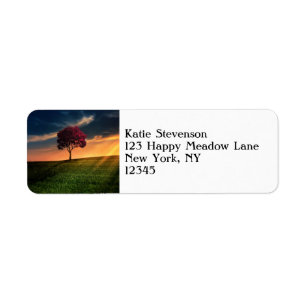 Etiqueta Paisagem incrível com uma árvore vermelha no pôr d