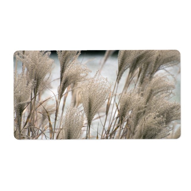 Etiqueta Palha no inverno (Frente)