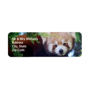 Etiqueta Panda vermelha