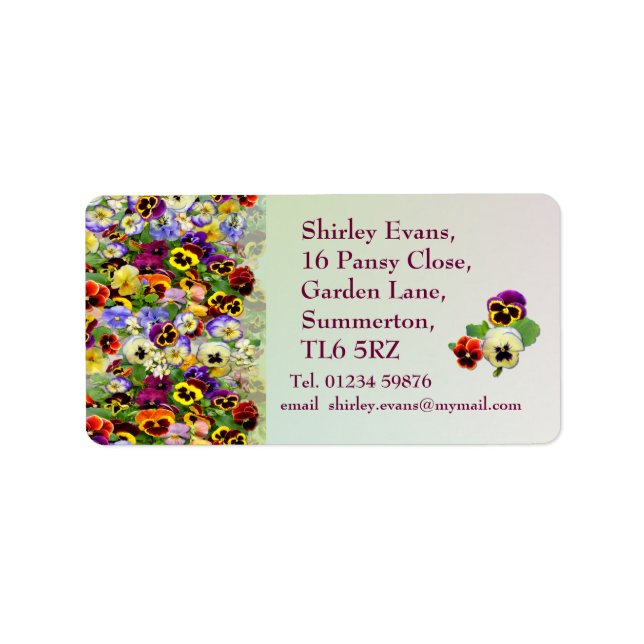 Etiqueta Pansy Display ~ Label # 6 (Frente)