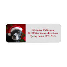 Papais noeis Cães-Lab/Combinação Rotular com Point