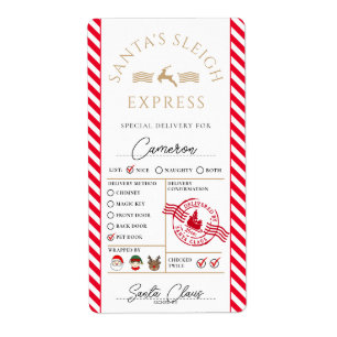 Etiqueta Papais noeis Mail Express Special Delivery Sticker