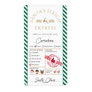 Etiqueta Papais noeis Mail Express Special Delivery Sticker