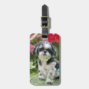 Etiqueta para Bagagem de Menina Shih Tzu
