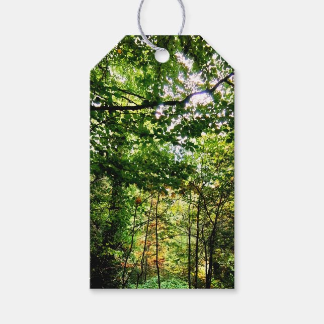 Etiqueta Para Presente A floresta (Frente)