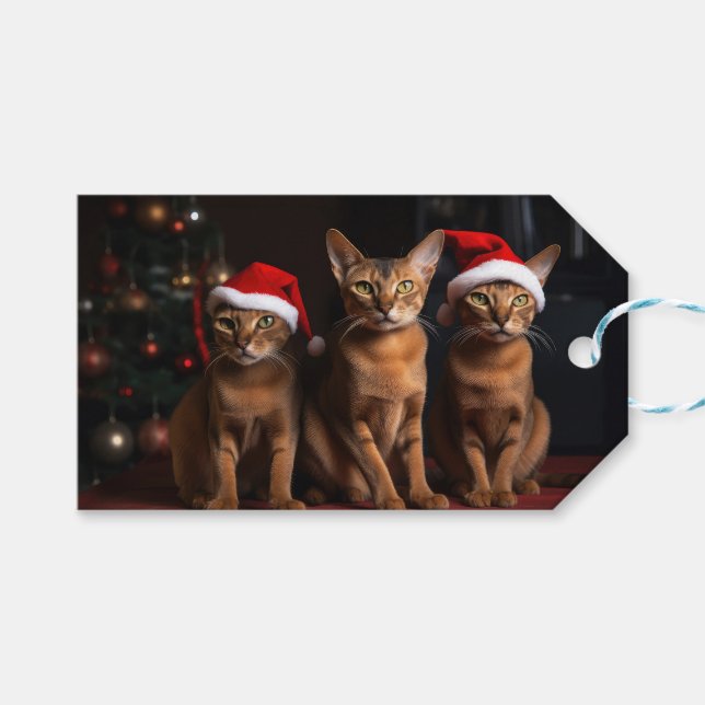 Etiqueta Para Presente Abissínia pelo Natal da Lareira (Frente (horizontal))