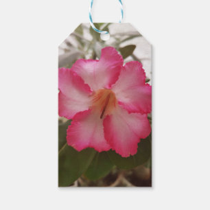 Etiqueta Para Presente Adenium flores brancas cor-de-rosa flores florais
