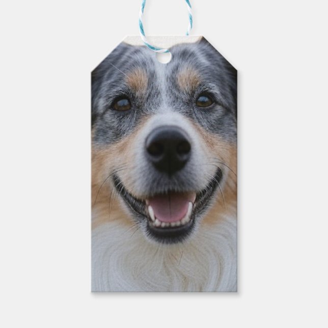 Etiqueta Para Presente Adicionar Foto de Pet Personalizar (Frente)