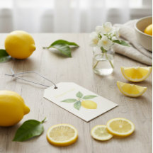 Agradeço Limão em Aquarela