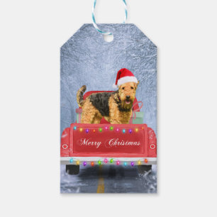 Etiqueta Para Presente Airedale Terrier Dog em neve sentada no Natal