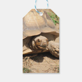 Etiqueta Para Presente Ala aldabra