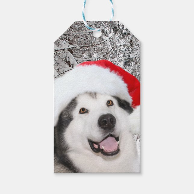 Etiqueta Para Presente Alaskan Malamute Natal (Frente)