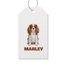 Amor Personalizado Nome do Amante de Cachorro