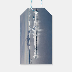 Etiqueta Para Presente Antarctica landscape