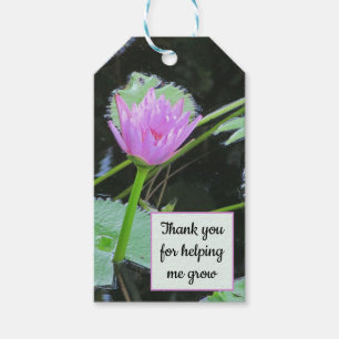 Etiqueta Para Presente Apreciação do Professor Obrigado Water Lily Bloom