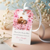 Aroma Adorável Do Urso De Teddy Muito Obrigado