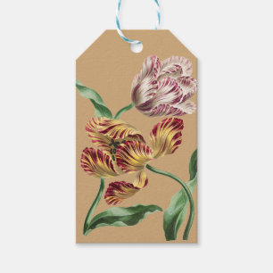 Etiqueta Para Presente Arte Botânica de Tulipas do Século XVIII com Estil
