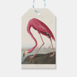 Etiqueta Para Presente Arte de Pássaro Rosa de Flamingo Americano Vintage