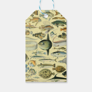 Etiqueta Para Presente Arte De Pesca Científica Dos Peixes Vintage
