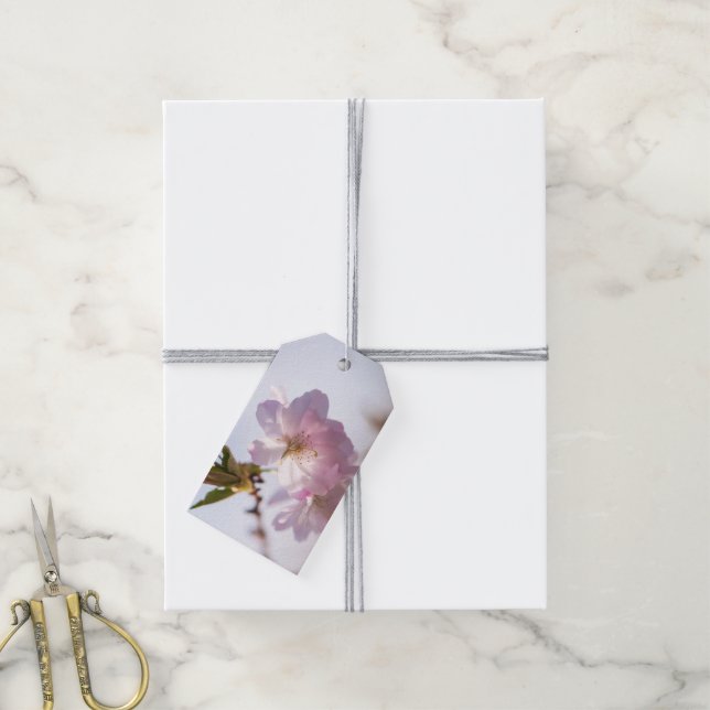 Etiqueta Para Presente árvore de floração primavera (Com cordão)