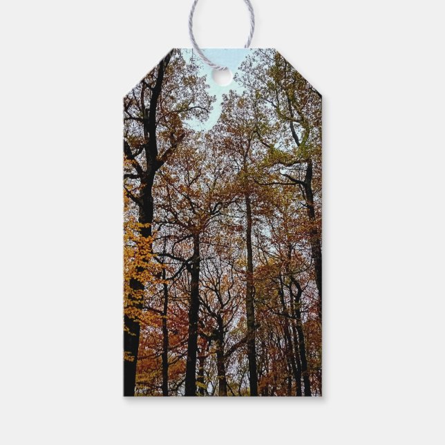 Etiqueta Para Presente Árvores altas (Frente)