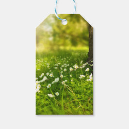 Etiqueta Para Presente As alegrias da Primavera