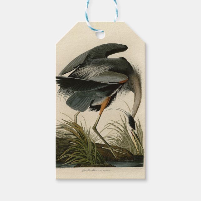 Etiqueta Para Presente Audubon Great Blue Heron Marsh Bird (Frente)