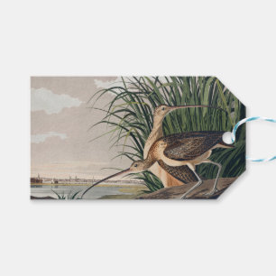 Etiqueta Para Presente Ave-do-relvado-de-bico-longo-Audubon