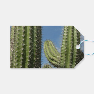 Etiqueta Para Presente Barrel Cactus I Desert Photo