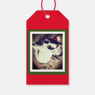 Etiqueta Para Presente Bebê Boston Bull Natal