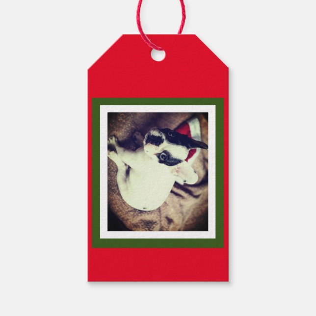 Etiqueta Para Presente Bebê Boston Bull Natal (Frente)