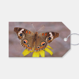 Etiqueta Para Presente Bela borboleta na Flor Amarela