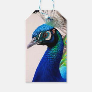 Etiqueta Para Presente Bela Coloração Peacock Peafowl Bird Willife