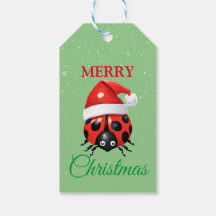 Bela Papai noel de inseto