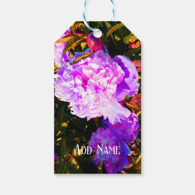 Etiqueta Para Presente Belas Peônias Rosadas (Frente)