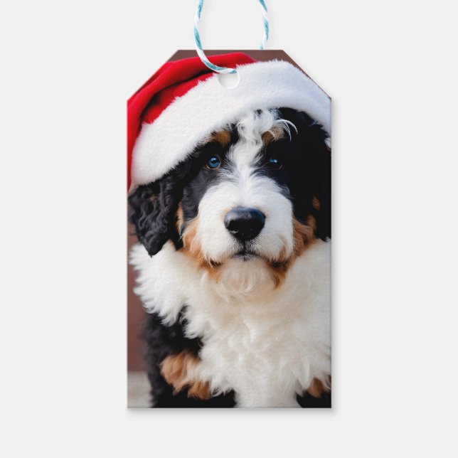 Etiqueta Para Presente Bernedoodle Christmas (Frente)